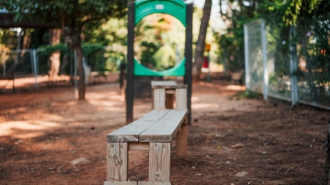 גינת כלבים (3).jpg