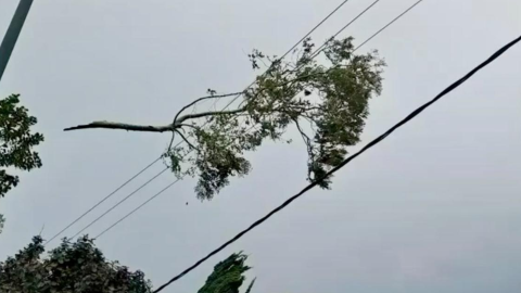 הפסקות חשמל