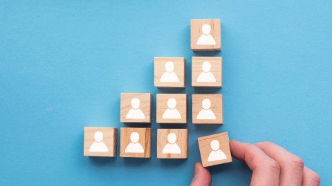 ממשיכים להוביל